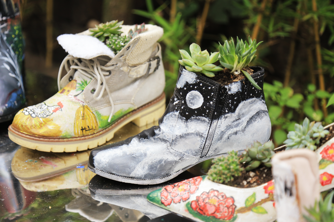 Tái chế giày cũ thành những chậu cây thân thiện với môi trường ảnh 2
