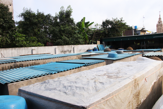 Nam Định: Đậm đà nước mắm thủ công truyền thống Sa Châu ảnh 2