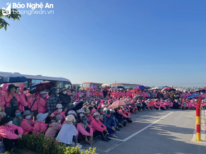 Nghệ An: 1.000 công nhân ngừng việc tập thể đã đi làm trở lại ảnh 1