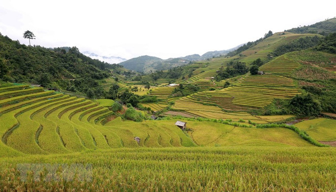 Lần đầu tổ chức Tuần Văn hóa-Du lịch Tây Bắc và TP Hồ Chí Minh tại Lào ảnh 1