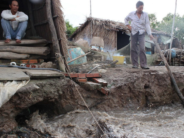 Cà Mau: Sạt lở nghiêm trọng đe dọa tính mạng người dân ảnh 1
