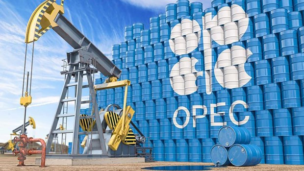 Ảnh minh họa. (Nguồn: Shutterstock.com/TTXVN) OPEC+ hướng tới sự ổn định của thị trường dầu mỏ toàn cầu ảnh 1