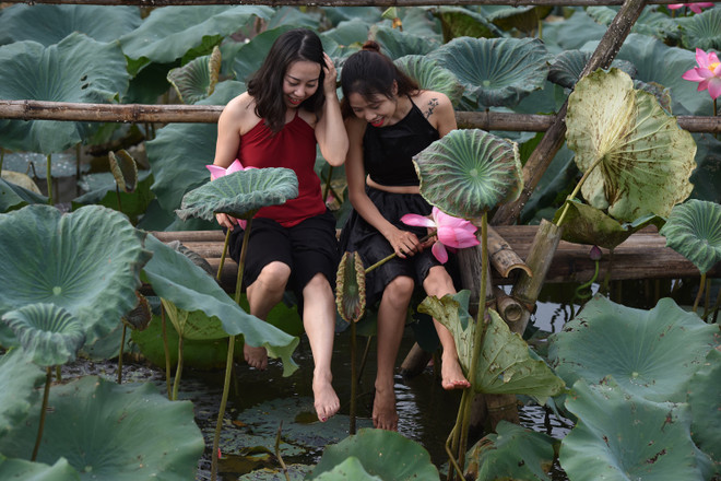 Trang viên Đồng Gội: “Của hiếm” cho nghỉ dưỡng gần Hà Nội ảnh 5