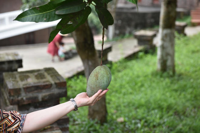 Trang viên Đồng Gội: “Của hiếm” cho nghỉ dưỡng gần Hà Nội ảnh 2