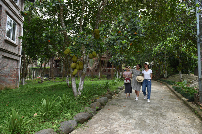 Trang viên Đồng Gội: “Của hiếm” cho nghỉ dưỡng gần Hà Nội ảnh 3