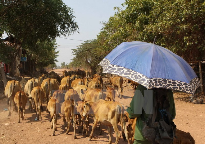 Nắng nóng gia tăng trên khắp cả nước, có nơi trên 38 độ C ảnh 1