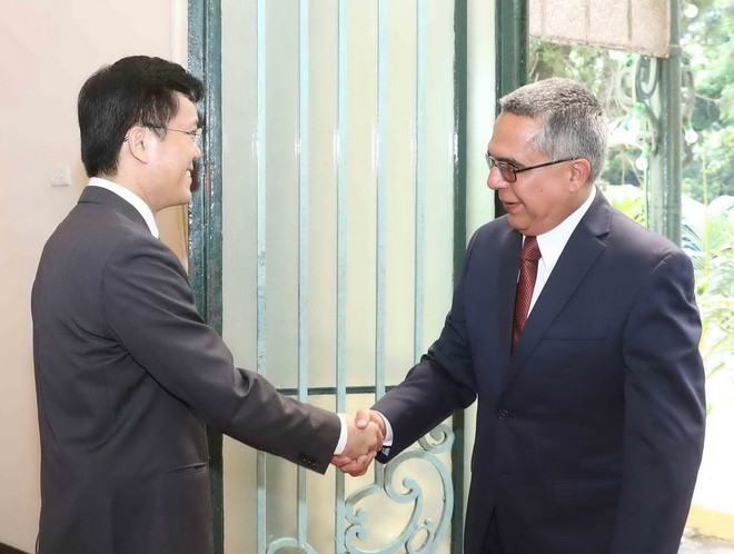 Thứ trưởng Thứ nhất Bộ Ngoại giao Cuba thăm chính thức Việt Nam ảnh 1