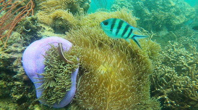 vnp_phu quoc (2).jpg