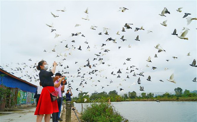 Thay đổi cách tiếp cận du khách, du lịch Hải Phòng thoát khỏi 'vỏ kén' ảnh 2