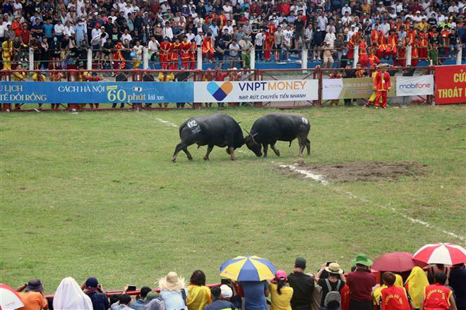 Thay đổi cách tiếp cận du khách, du lịch Hải Phòng thoát khỏi 'vỏ kén' ảnh 3