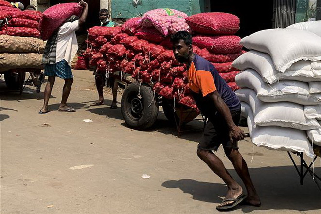 Mỹ công bố viện trợ nông nghiệp 40 triệu USD cho Sri Lanka ảnh 1