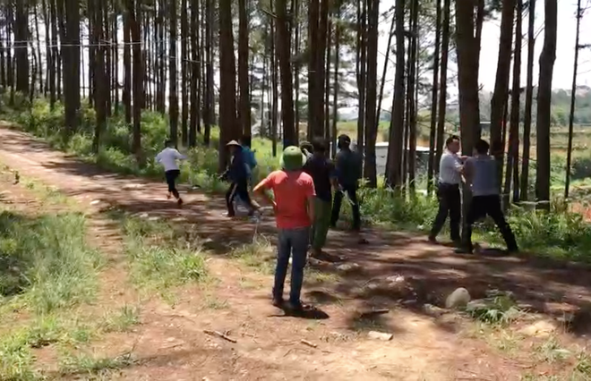 Lâm Đồng: Xử lý đối tượng lấn chiếm đất rừng, đuổi đánh đoàn kiểm tra ảnh 1