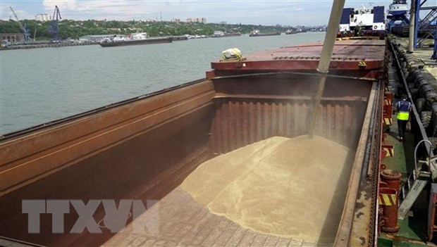 Ảnh minh họa (Nguồn: AFP/TTXVN) LHQ thông báo nối lại hoạt động kiểm tra tàu theo Sáng kiến Ngũ cốc ảnh 1