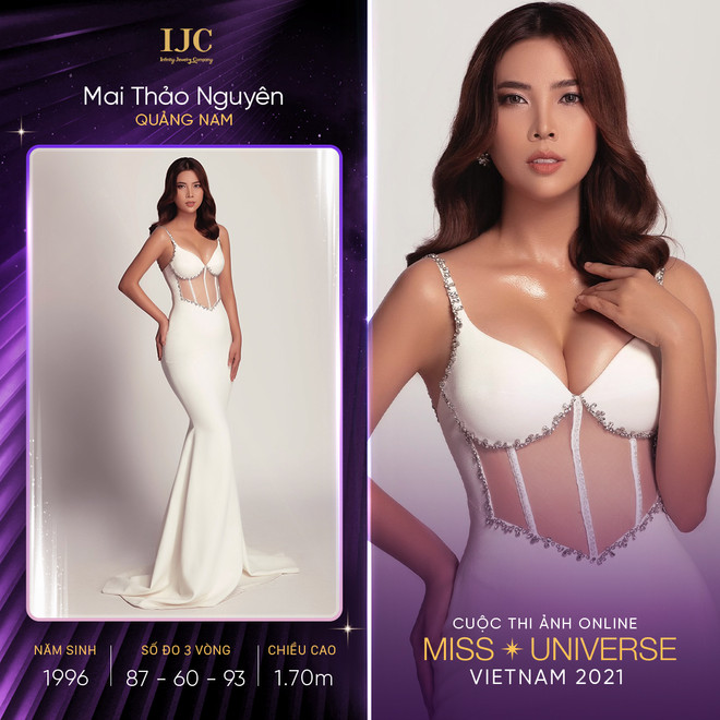 Loạt thí sinh cũ trở lại cuộc thi ảnh online Hoa hậu Hoàn vũ Việt Nam ảnh 1