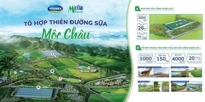 Toàn cảnh hệ sinh thái của "Thiên đường sữa Mộc Châu" Hé lộ hình ảnh 'Thiên đường sữa tại Mộc Châu' - kỳ quan Tây Bắc ảnh 1
