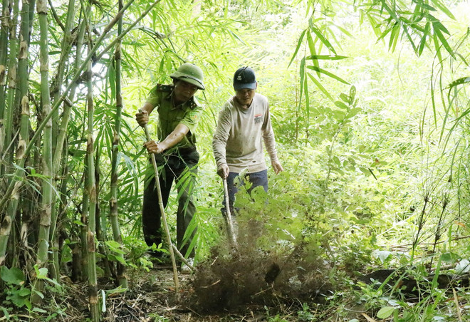 ttxvn_dong vat hoang da 2.jpg