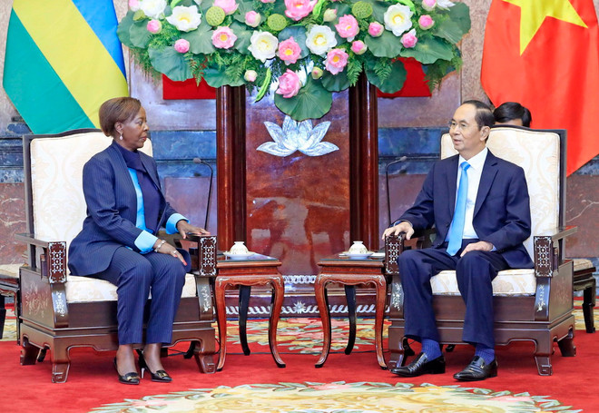 Mở rộng các lĩnh vực hợp tác giữa Việt Nam với Rwanda và Guinea ảnh 1