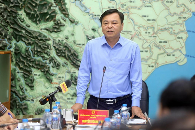 Chủ động ứng phó với mưa lớn do hoàn lưu của cơn bão số 2 ảnh 2