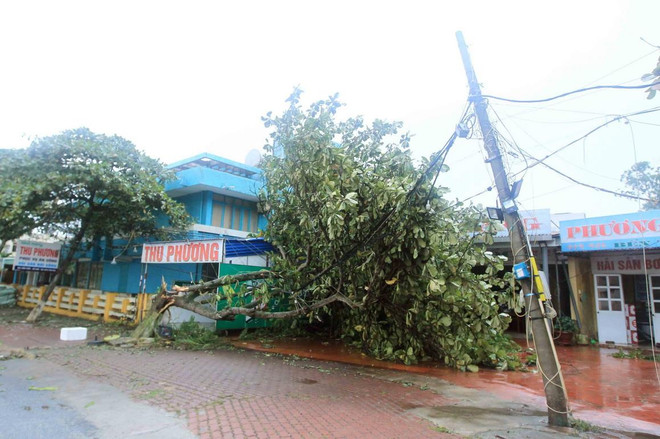 Chủ động ứng phó với mưa lớn do hoàn lưu của cơn bão số 2 ảnh 1