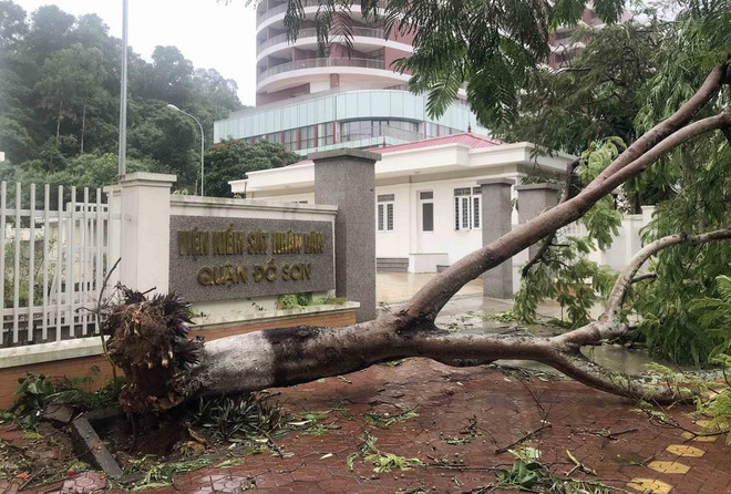 Bão số 2 gây nhiều thiệt hại tại các địa phương, làm 2 người chết ảnh 1