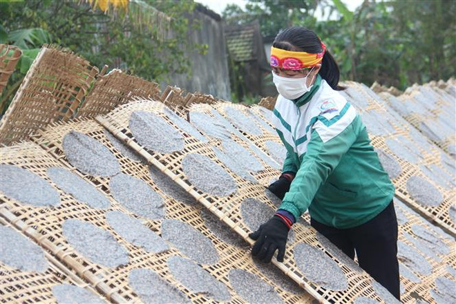 'Chính sách quản lý kinh tế tập thể, hợp tác xã còn cồng kềnh' ảnh 3