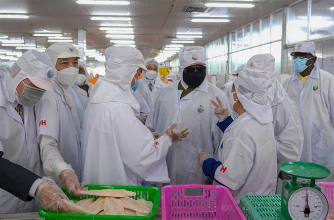 Tổng thống Cộng hòa Sierra Leone thăm Viện lúa Đồng bằng sông Cửu Long ảnh 2