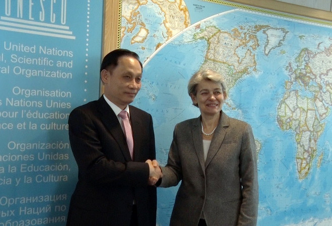 Tổng Giám đốc UNESCO đánh giá cao đóng góp thiết thực của Việt Nam ảnh 1