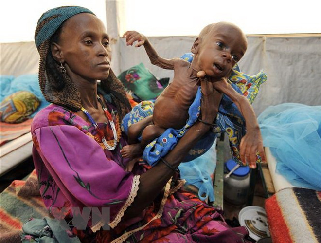 2 tỷ người thiếu vi chất dinh dưỡng, 672 triệu người "khổ" vì béo phì ảnh 1