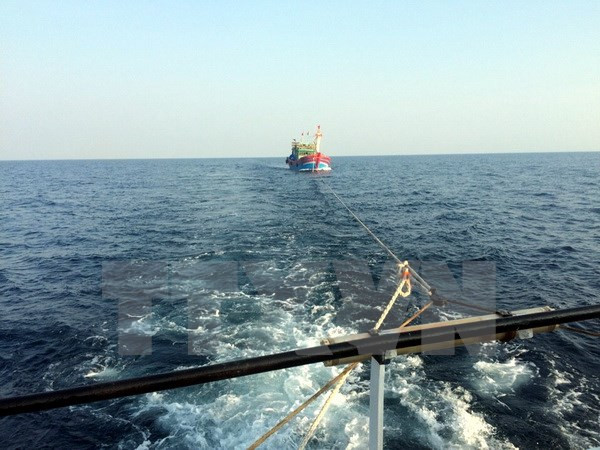 Một tàu cá cùng 12 ngư dân trôi dạt trên vùng biển Trường Sa ảnh 1