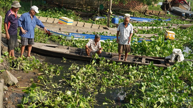Người dân ven sông Vàm Cỏ Đông phản ánh nước sông đen kịt, có mùi hôi lạ. (Ảnh: Thanh Tân/TTXVN) Xử phạt 2 doanh nghiệp xả thải trái phép sau phản ánh của TTXVN ảnh 1