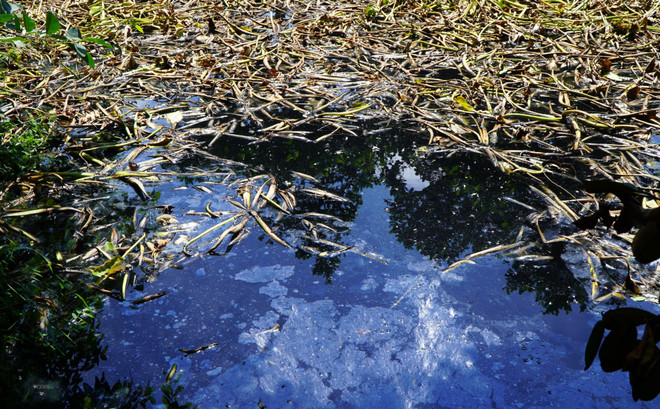 Tây Ninh: Người dân bức xúc vì ô nhiễm do nước thải và khói bụi ảnh 1