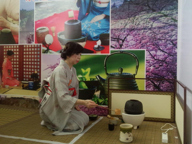 Khai mạc Lễ hội giao lưu văn hóa Việt-Nhật 2017 tại Đà Nẵng ảnh 1