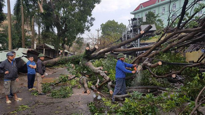 Thái Nguyên: Dông lốc lúc rạng sáng khiến hơn 570 ngôi nhà bị tốc mái ảnh 1