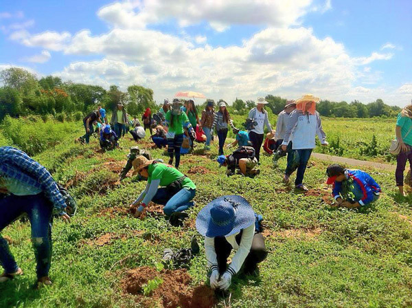 Thái Lan khuyến khích các sáng kiến xanh nhằm giảm khí thải carbon ảnh 1