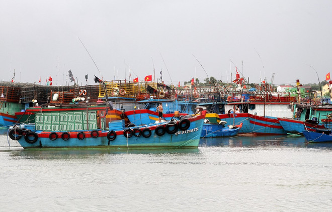 Tàu thuyền neo đậu tránh bão. (Ảnh minh họa. Nguồn: TTXVN) Ứng phó với cơn bão đang tiến vào Biển Đông và gió mùa Đông Bắc ảnh 1