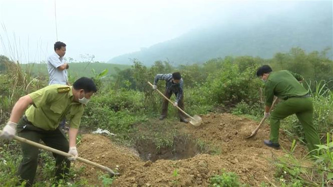 Thanh Hóa: Tiêu hủy 64kg động vật rừng quý hiếm bị tàng trữ trái phép ảnh 1