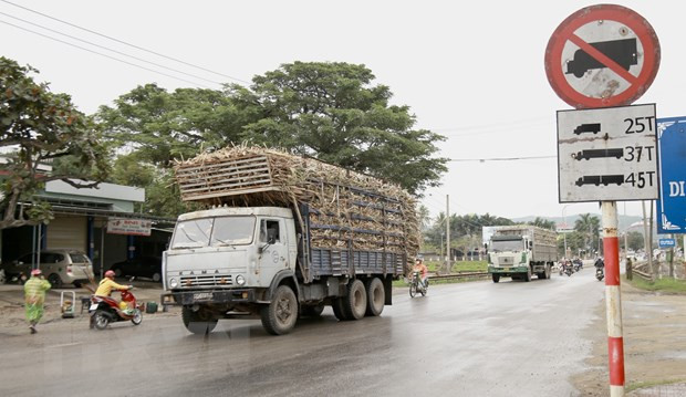 Gia Lai: Kiên quyết xử lý các trường hợp chở quá khổ, quá tải ảnh 2