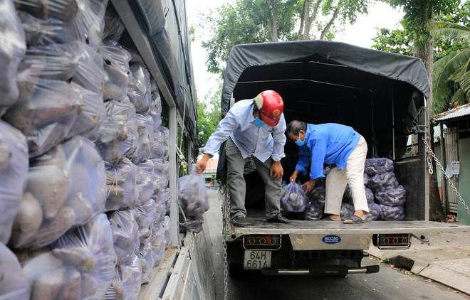 (Ảnh: Phạm Minh Tuấn/TTXVN) Tiêu thụ nông sản: Phối hợp giải quyết vướng mắc trong vận tải biển ảnh 1