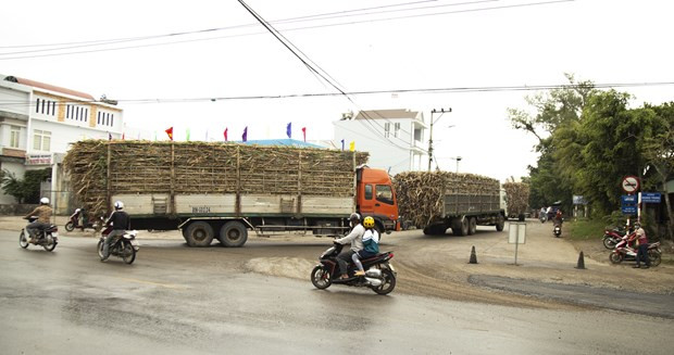 Gia Lai: Kiên quyết xử lý các trường hợp chở quá khổ, quá tải ảnh 1