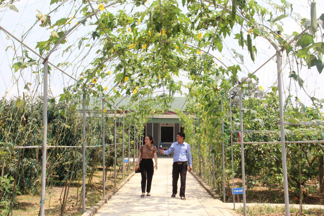 Diện mạo nông thôn mới trên quê hương Tổng Bí thư Hà Huy Tập ảnh 2