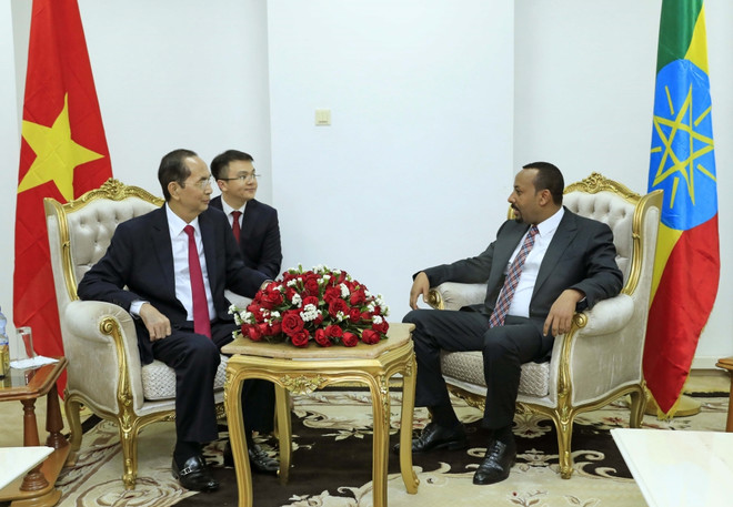 Chủ tịch nước Trần Đại Quang hội kiến với Thủ tướng Ethiopia ảnh 1