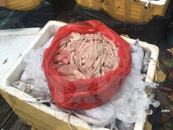 Phát hiện xe khách vận chuyển 1,7 tấn nội tạng không rõ nguồn gốc ảnh 1