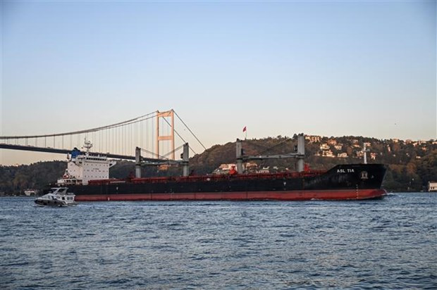Tàu chở ngũ cốc của Ukraine di chuyển qua Eo biển Bosphorus ở Istanbul, Thổ Nhĩ Kỳ ra khu vực biển Marmara, ngày 2/11/2022. (Ảnh: AFP/TTXVN) Nga: Những vướng mắc của Sáng kiến Ngũ cốc Biển Đen chưa được xử lý ảnh 1
