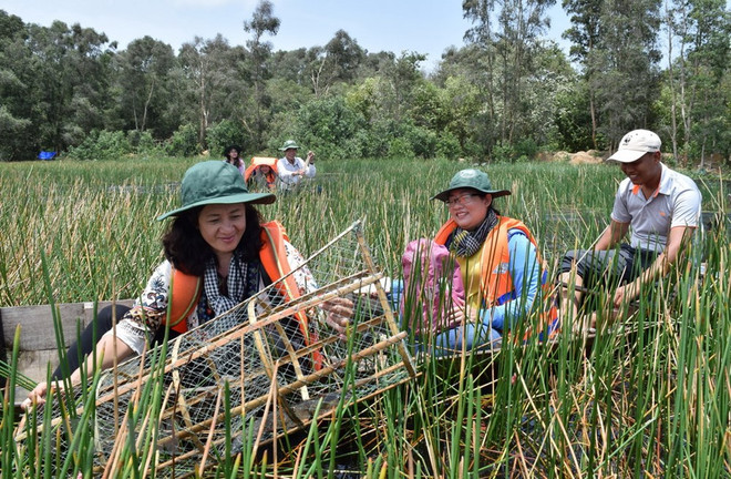 Đắm mình vào thiên nhiên ở Ramsar Tràm Chim mùa nước nổi ảnh 1