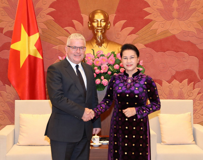 Chủ tịch Quốc hội tiếp Đại sứ Australia và Đại sứ New Zealand ảnh 1