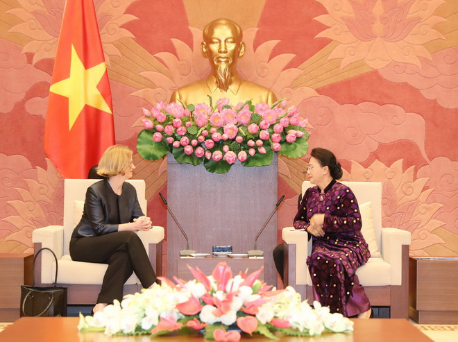 Chủ tịch Quốc hội tiếp Đại sứ Australia và Đại sứ New Zealand ảnh 2