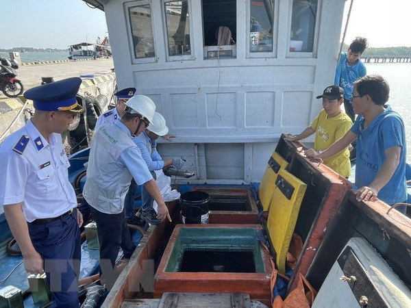 Phó Thủ tướng: Xử lý dứt điểm việc khai thác hải sản bất hợp pháp ảnh 1