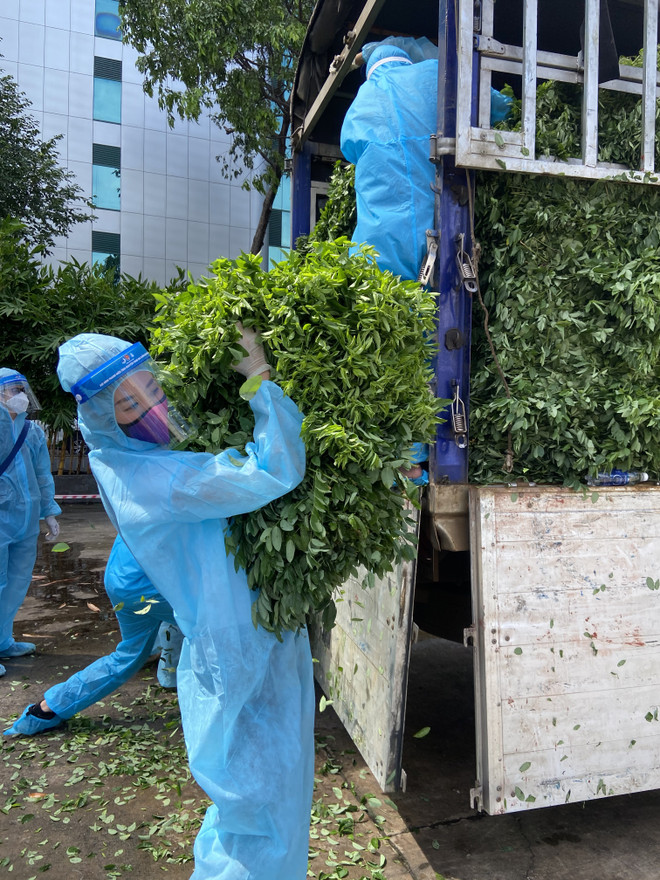 Hoa hậu Hoàn vũ: Những ‘Chuyến xe thực phẩm 0 đồng’ ấm áp nghĩa tình ảnh 1