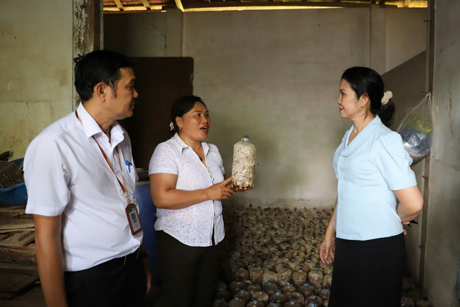 vnp_giam ngheo dak nong 1.jpg