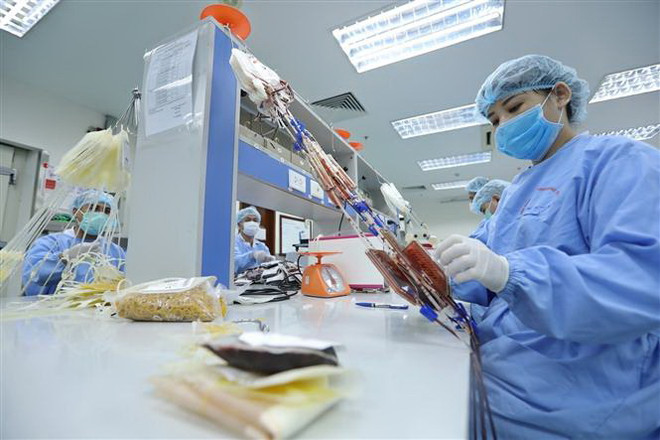 Hội nghị tiêu điểm của Hội Huyết học Mỹ lần đầu diễn ra tại Việt Nam ảnh 1